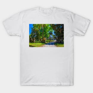 Cumberland Island National Seashore T-Shirt